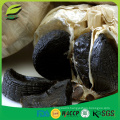 China fermented black garlic seeds